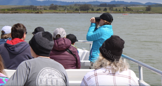 Passengers aboard the El Cat enjoy a clean and quiet ride, witnessing the incredibly beauty and diverse wildlife in Elkhorn Slough